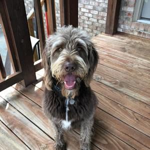 Meet your Posher, Mike